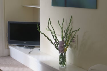 2 bed house, St helens avenue, Brynmill, Swansea, SA14NF - Image 10